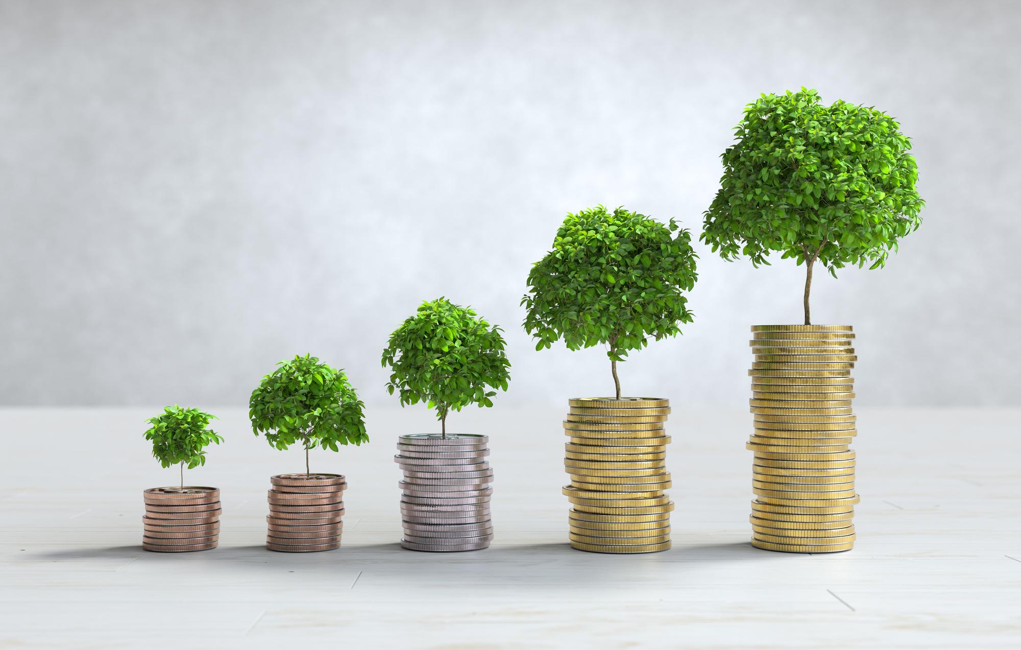 Apa Itu Investasi? Rahasia Uang Bekerja untuk Anda